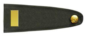 asteğmen nasıl olunur