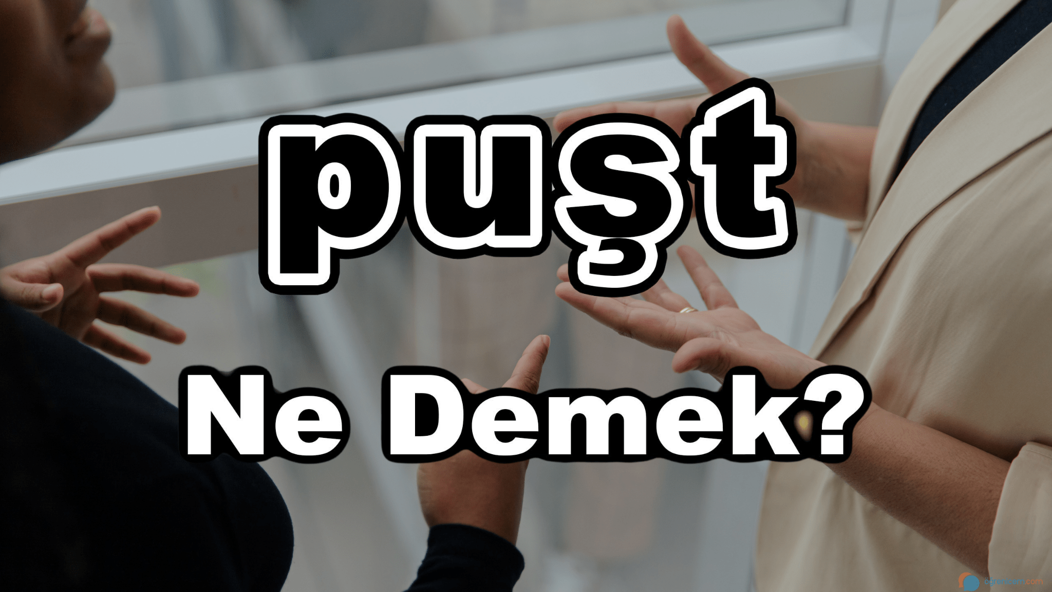 Puşt Ne Demek?